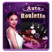 Bangladesh Casino Hub overview on bd 250 for adult mobile users